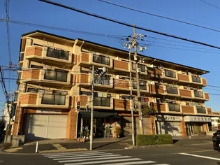 大阪府東大阪市島之内2【マンション】の外観