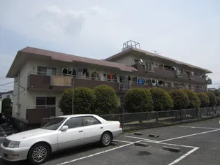 マンショントレビ【1階】の外観