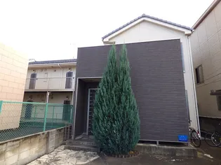 キャメル川口朝日の画像