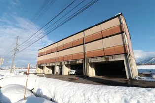 グリフィンドール 十二の木の画像