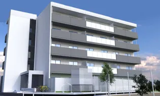 シベール太郎丸の画像