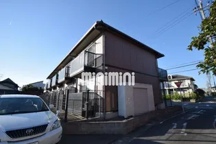 ルミナストミタの画像