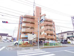 アンデス日興の画像