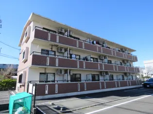 プラセールの画像