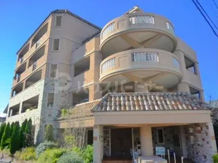 マーメイドラグーンの画像