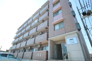 ウィステリア アカスの画像