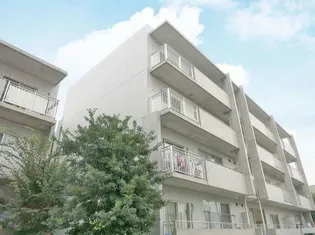 セレーノ大宮 D棟の画像