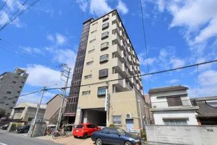 龍美ポロネーズの画像