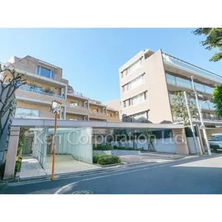 レフィナールの画像