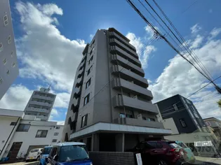 ローザス23の画像
