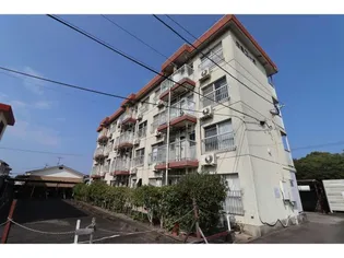 第1池亀コーポの画像