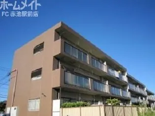 ドルチェの画像