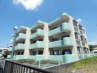 神奈川県川崎市高津区千年【マンション】の外観