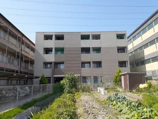 エルシェの画像