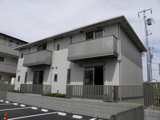 マンダリンツリーの画像