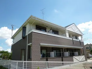 オレンジコートの画像