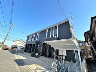 ワイズ シャムロックの画像