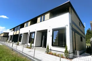 ナイスハッシーIの画像