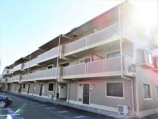シャルメの画像