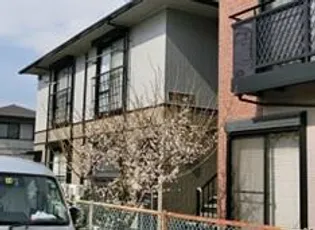 エスエイハイツの画像