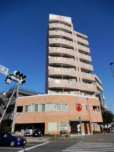 第131新井ビル(エーデルブルーメ島根)【6階】の外観