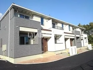 ブルーベリーの画像