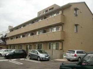 BANYAN TREEの画像