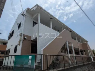 ブルースターの画像