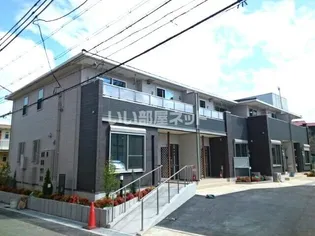 ベルグ しらゆりの画像