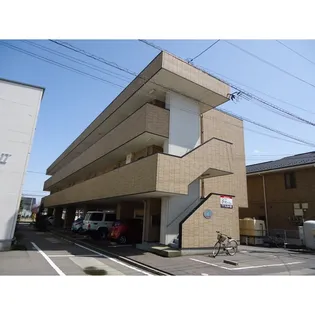 コンフリーIIIの画像