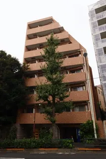 スカイコート目白台【3階】の外観
