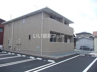 アイランド パインの画像