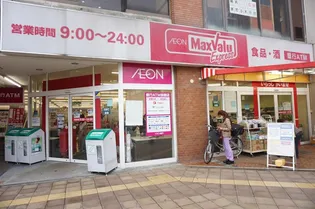 ヒューマンパレス新松戸VII【1階】の周辺