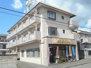 豊徳ハイツ【3階】の外観