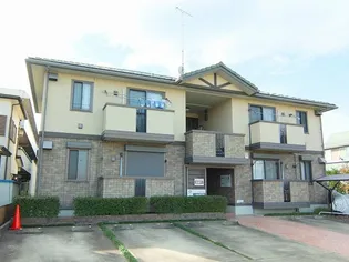 アンジェロの画像