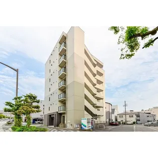 PURA VIDA幅下の画像