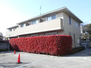 東京都杉並区井草1【アパート】の外観