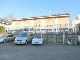 カメリアAの画像