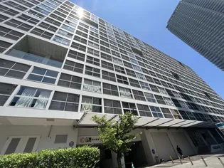 東雲キャナルコ-トCODAN12号棟【7階】の外観