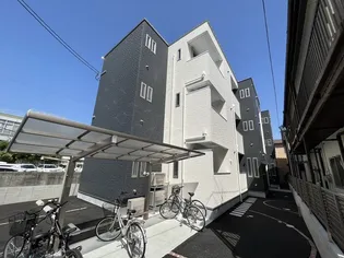 REGALEST 江波山桜の画像