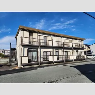 パミールCの画像