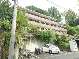 スターダスト晴貞の画像