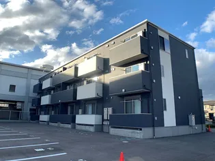 ゼルコヴァウエストIの画像