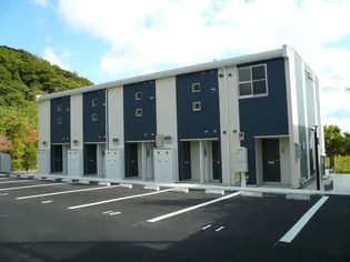 レオネクストSEIZANIIIの画像