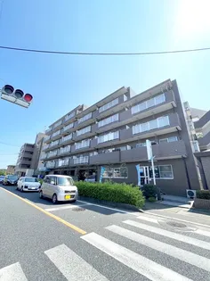 ブルーミングハイツIIの画像