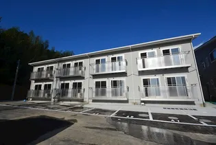 ヴァンベール綱分Bの画像