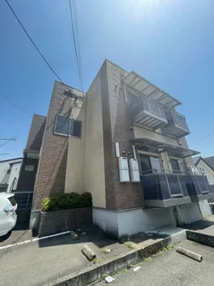 ブローテ石丸の画像