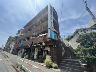 レグルスの画像