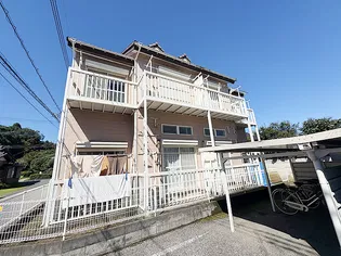 ソレイユの画像