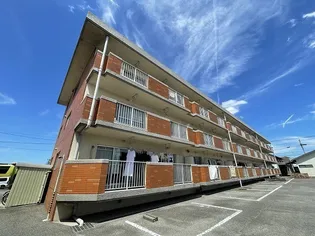 石崎ハイツ【1階】の外観